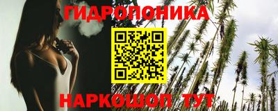 кокс Кингисепп