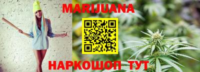 кокс Кингисепп