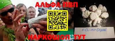 кокс Кингисепп