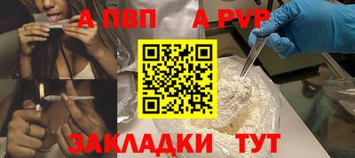 кокс Кингисепп